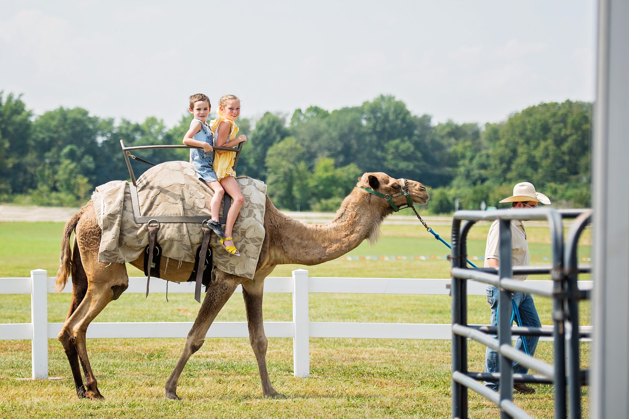 Kids on Camel Rides