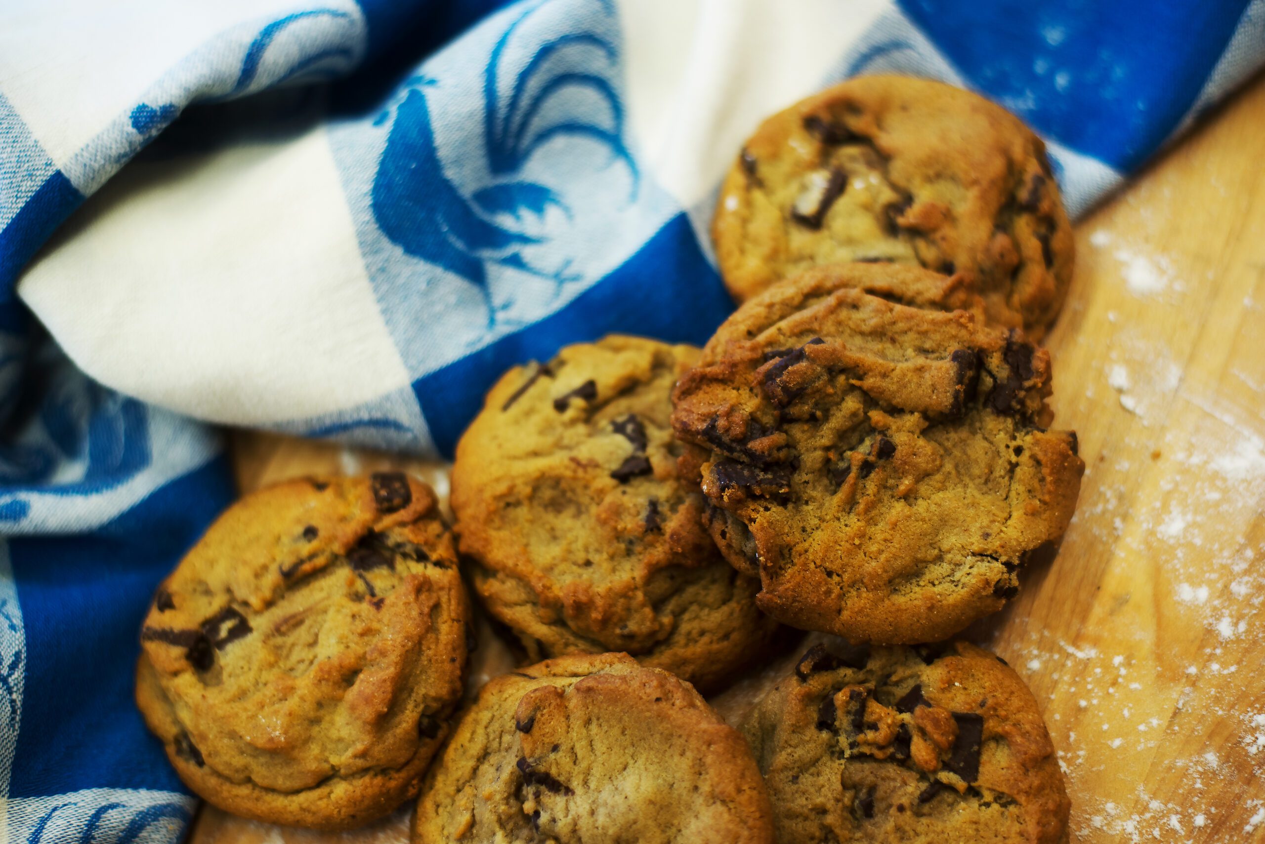 A picture of fresh baked chocolate chip cookies on a blue and white patterned table cloth