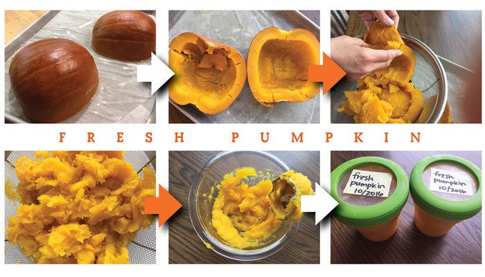 fresh pumpkin collage.jpg
